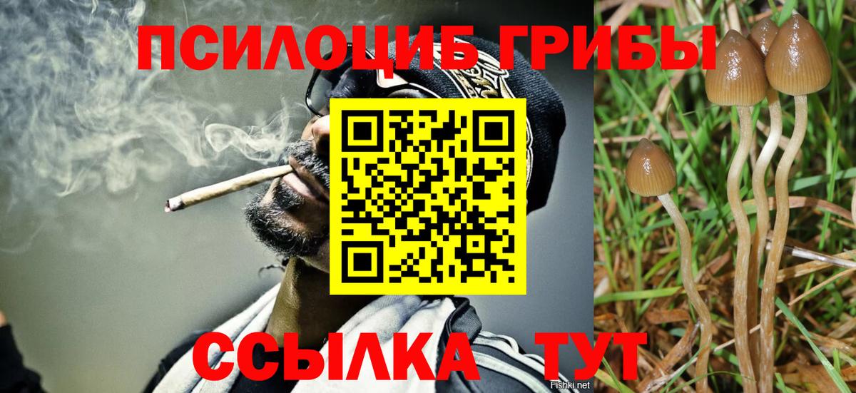 Псилоцибиновые грибы мицелий  Псилоцибиновые грибы MAGIC MUSHROOMS  Великий Новгород  Вход с VPN 